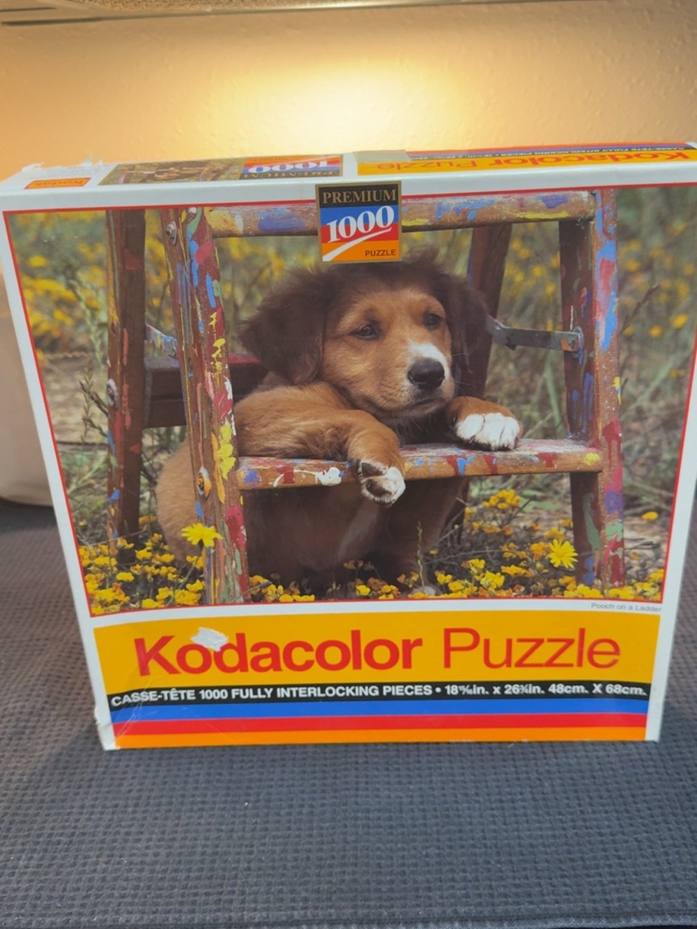 1000-Piece - Brown Puppy Design